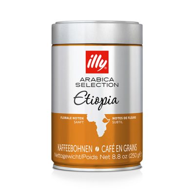 دان قهوه ایلی اتیوپی